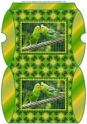 JJ FRIENDS FOREVER BUDGERIGARS PILLOW BOX