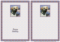 JJ LABRADOR 1 A6 TEA BAG CARD INSERTS