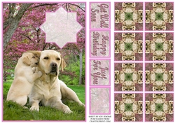 JJ LABRADOR A5 TEA BAG CARD