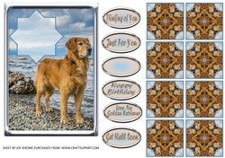 JJ LOVE MY DOG GOLDEN RETRIEVER 5x7 TEA BAG CARD