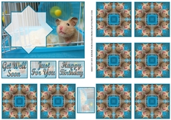 JJ HAMSTER A6 TEA BAG CARD