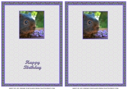 JJ GUINEA PIG A6 TEA BAG CARD INSERTS