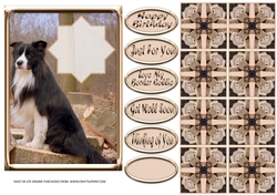 JJ LOVE MY DOG BORDER COLLIE 5X7 TEA BAG CARD