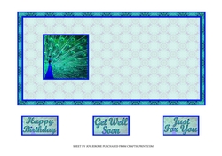  JJ PEACOCK 5X5 TEA BAG CARD INSERT