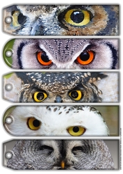 JJ ASSORTED BOOKMARKS OWLS 2