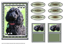 JJ LOVE MY DOG COCKAPOO 2 5X7