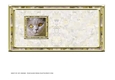 JJ CAT FULL FACE 5X5 4 INSERT BLANK