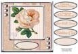 JJ PALE PEACH VINTAGE ROSE 8X8 QUICK CARD