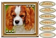 JJ LOVE MY DOG CAVALIER KING CHARLES 8X8