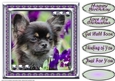 JJ LOVE MY DOG CHIHUAHUA 8X8