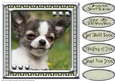 JJ LOVE MY DOG CHIHUAHUA 2 8X8