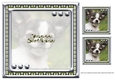JJ LOVE MY DOG CHIHUAHUA 2 8X8 INSERT HAPPY BIRTHDAY