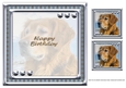 LOVE MY DOG GOLDEN RETRIEVER 8X8 INSERT HAPPY BIRTHDAY