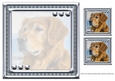 JJ LOVE MY DOG GOLDEN RETRIEVER 8X8 INSERT BLANK.