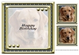 JJ LOVE MY DOG LABRADOR RETRIEVER 8X8 YELLOW INSERT HAPPY BIRTHDAY
