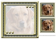 JJ LOVE MY DOG LABRADOR RETRIEVER 8X8 YELLOW INSERT BLANK