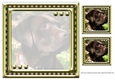 JJ LOVE MY DOG LABRADOR RETRIEVER 8X8 CHOCOLATE INSERT BLANK