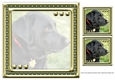 JJ LOVE MY DOG LABRADOR RETRIEVER 8X8 BLACK INSERT BLANK