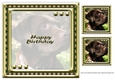 JJ LOVE MY DOG LABRADOR RETRIEVER 8X8 CHOCOLATE INSERT HAPPY BIRTHDAY