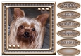 JJ LOVE MY DOG YORKSHIRE TERRIER 8X8