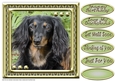 JJ LOVE MY DOG DACHSHUND 8X8