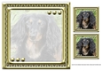  JJ LOVE MY DOG DACHSHUND 8X8 INSERT BLANK