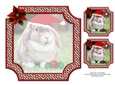 JJ PETS LOVE CHRISTMAS TOO 8X8 LOP EARED RABBIT INSERT BLANK
