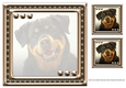 JJ LOVE MY DOG ROTTWEILER 8x8 INSERT BLANK