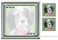 JJ LOVE MY DOG ENGLISH SETTER 8X8 INSERT BLANK