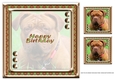 JJ LOVE MY DOG DOGUE DE BORDEAUX FRENCH MASTIFF 8X8 INSERT HAPPY BIRTHDAY
