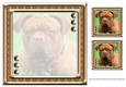JJ LOVE MY DOG DOGUE DE BORDEAUX FRENCH MASTIFF 8X8 INSERT BLANK