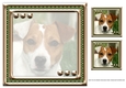 JJ LOVE MY DOG JACK RUSSELL 8X8 INSERT BLANK