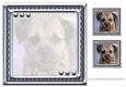 JJ LOVE MY DOG BORDER TERRIER 8X8 INSERT BLANK.
