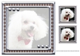 JJ LOVE MY DOG POODLE 8X8 INSERT BLANK