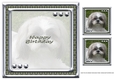 JJ LOVE MY DOG SHIH TZU 8X8 INSERT HAPPY BIRTHDAY