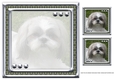 JJ LOVE MY DOG SHIH TZU 8X8 INSERT BLANK