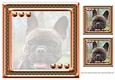 JJ LOVE MY DOG FRENCH BULLDOG 8X8 INSERT BLANK