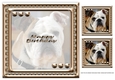 JJ LOVE MY DOG ENGLISH BULLDOG INSERT HAPPY BIRTHDAY