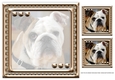 JJ LOVE MY DOG ENGLISH BULLDOG INSERT BLANK