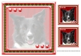 JJ LOVE MY DOG BORDER COLLIE 2 8X8 NSERT BLANK
