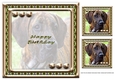 JJ LOVE MY DOG GREAT DANE 8X8 INSERT HAPPY BIRTHDAY.