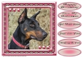 JJ LOVE MY DOG DOBERMAN 8X8
