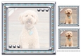 JJ LOVE MY DOG LABRADOODLE 8X8 INSERT BLANK