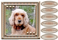 JJ LOVE MY DOG COCKER SPANIEL 1 8X8