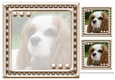 JJ LOVE MY DOG COCKER SPANIEL 2 8X8 INSERT BLANK
