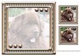 JJ LOVE MY DOG NEWFOUNDLAND 2 8X8 INSERT BLANK