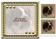 JJ LOVE MY DOG ST BERNARD 8X8 INSERT HAPPY BIRTHDAY