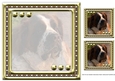 JJ LOVE MY DOG ST BERNARD 8X8 INSERT BLANK