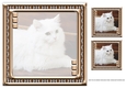 JJ LOVE MY CAT 8 8X8 INSERT BLANK