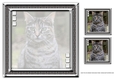 JJ LOVE MY CAT 9 8X8 INSERT BLANK